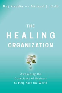 The Healing Organization Book Cover