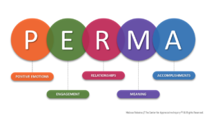 Appreciative Inquiry is grounded in research. One field of research is Positive Psychology. This image has the acronym P.E.R.M.A. - a positive psychology exercise to help shift our mindset. PERMA stands for Positive Emotions, Engagement, Relationships, Meaning, and Accomplishments.