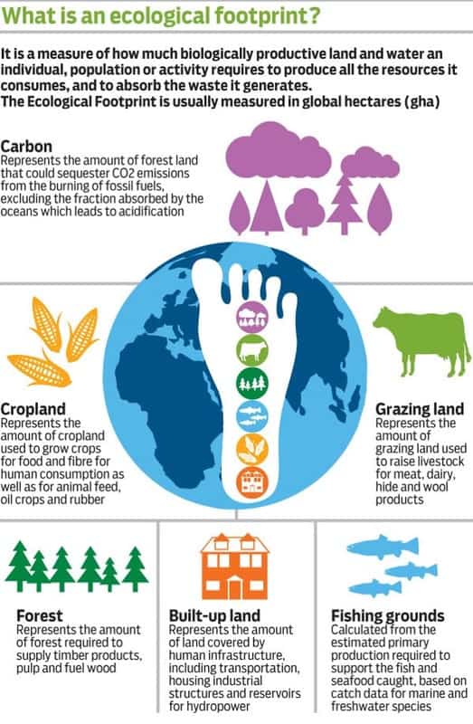 An infographic explaining the Ecological Footprint.